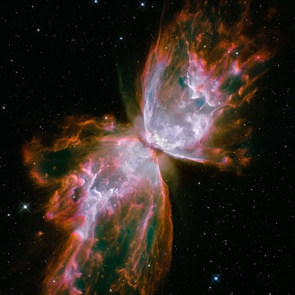 Wall Art Painting id:268093, Name: Butterfly Nebula (square), Artist: NASA