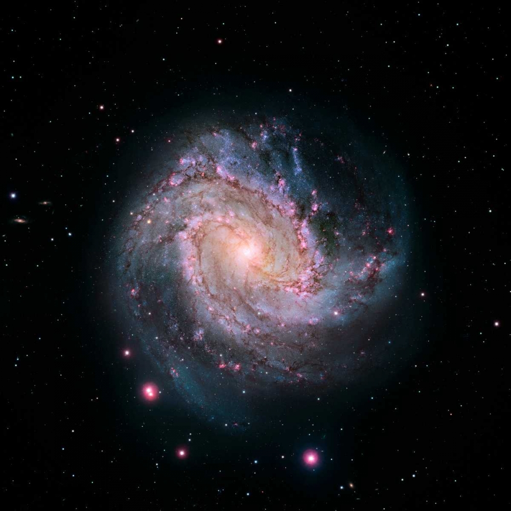 Wall Art Painting id:93093, Name: M83 - Spiral Galaxy - Hubble-Magellan Composite, Artist: NASA