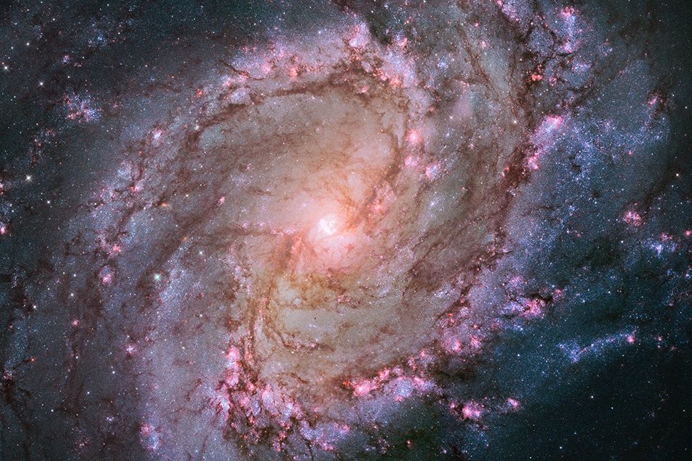 Wall Art Painting id:268097, Name: M83 - Spiral Galaxy, Artist: NASA