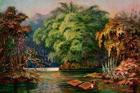 Wall Art Painting id:189034, Name: Riesenbambus von Ceylon Fahrt auf dem Schwarzen Fluß Kalu Ganga, Artist: Haeckel, Ernst