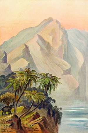 Wall Art Painting id:189044, Name: Am Ende der Welt Worlds End. Ceylon, Artist: Haeckel, Ernst