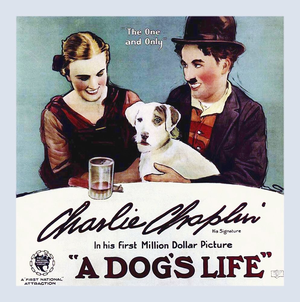 Wall Art Painting id:271839, Name: Charlie Chaplin - A Dogs Life, 1918, Artist: Hollywood Photo Archive