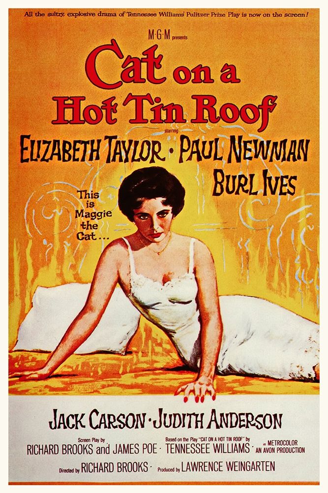 Wall Art Painting id:273572, Name: Elizabeth Taylor - Cat on a Hot Tin Roof, Artist: Hollywood Photo Archive