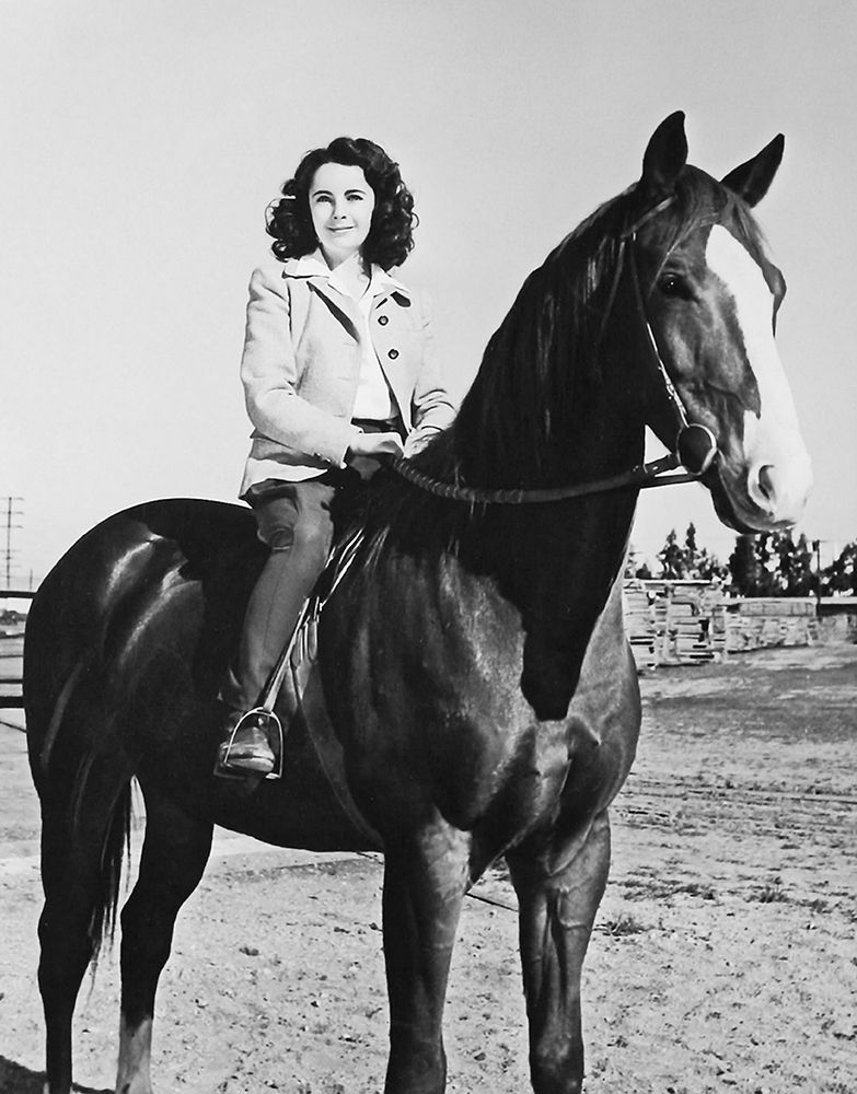 Wall Art Painting id:273779, Name: National Velvet - Elizabeth Taylor, Artist: Hollywood Photo Archive