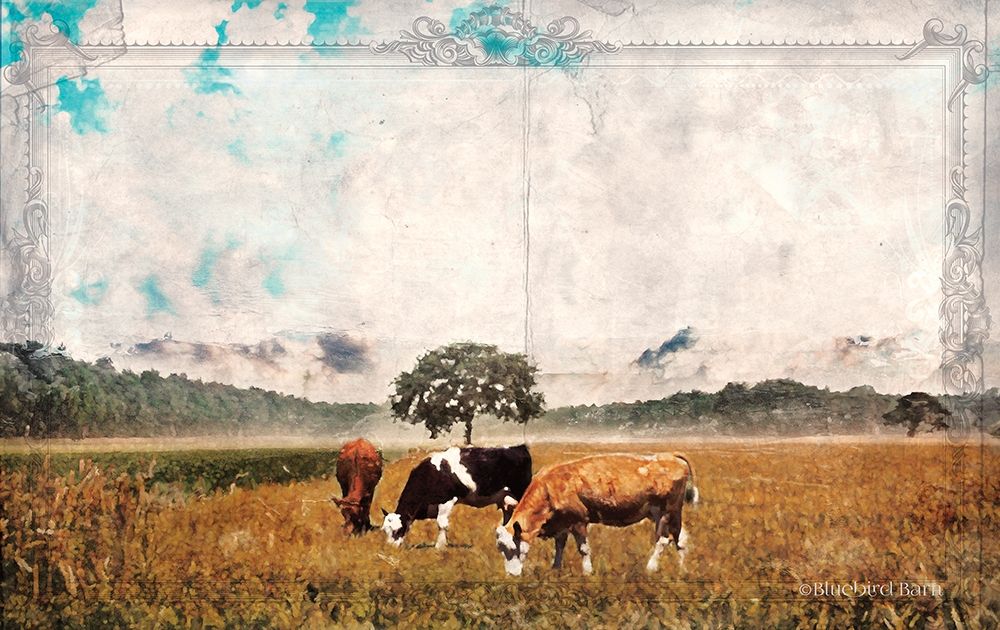 Wall Art Painting id:307821, Name: Vintage Grazing Cattle   , Artist: Bluebird Barn