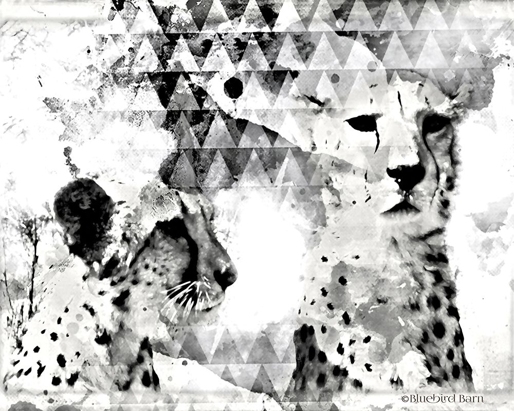 Wall Art Painting id:284212, Name: Modern Black And White Cheetahs, Artist: Bluebird Barn