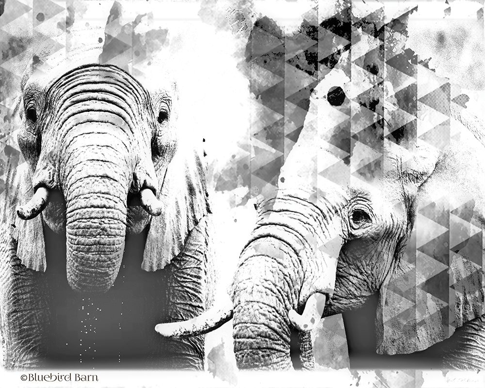 Wall Art Painting id:284213, Name: Modern Black And White Elephants, Artist: Bluebird Barn