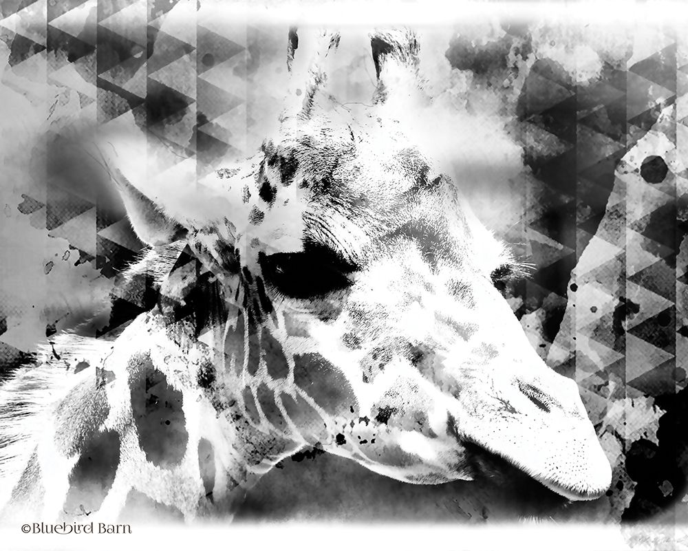 Wall Art Painting id:284214, Name: Modern Black And White Giraffe, Artist: Bluebird Barn
