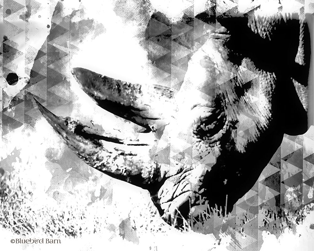Wall Art Painting id:284216, Name: Modern Black And White Rhino, Artist: Bluebird Barn