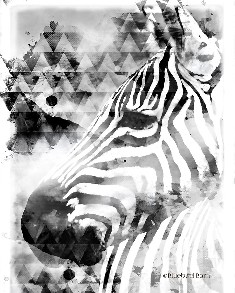 Wall Art Painting id:284217, Name: Modern Black And White Zebra, Artist: Bluebird Barn
