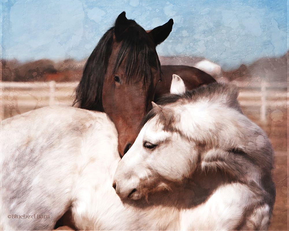 Wall Art Painting id:307822, Name: White and Chestnut Horses   , Artist: Bluebird Barn