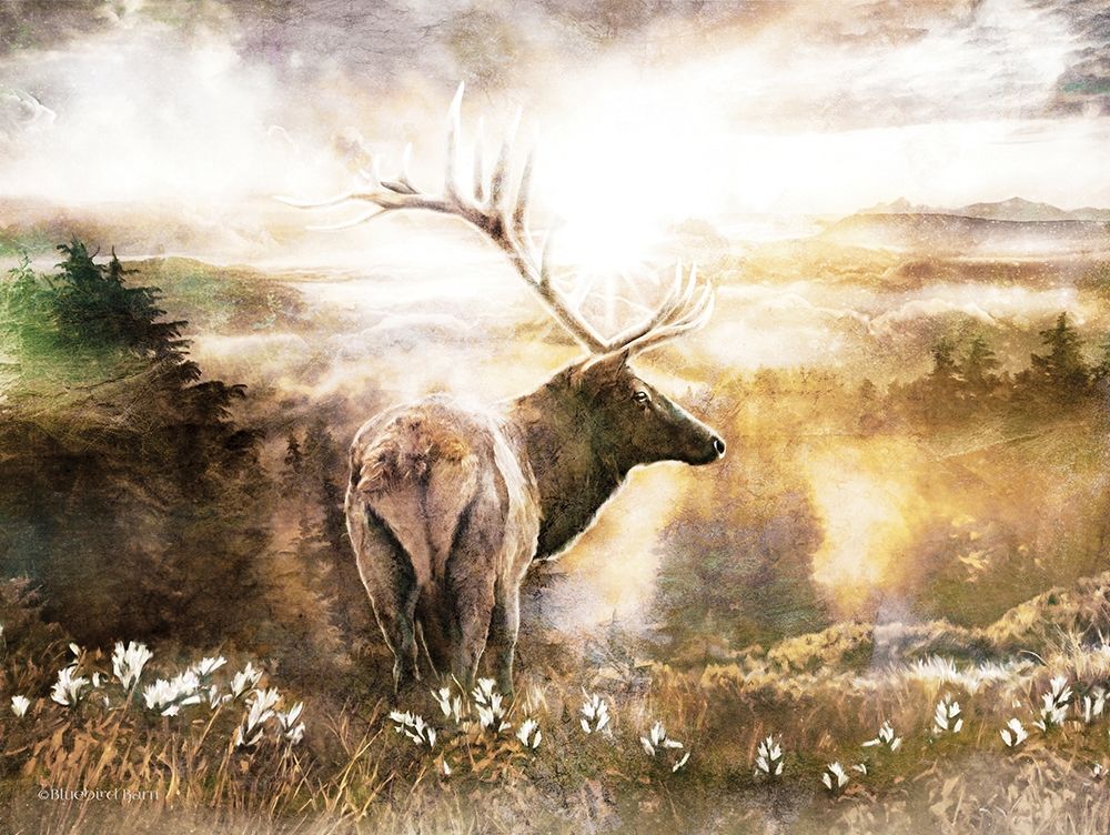 Similar wall art painting: 249156