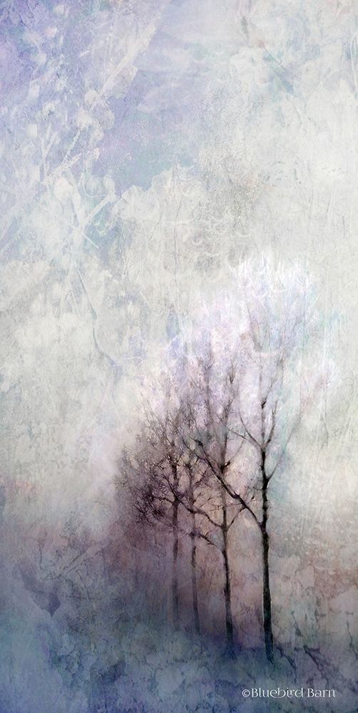 Wall Art Painting id:263415, Name: First Light Winter Forest, Artist: Bluebird Barn