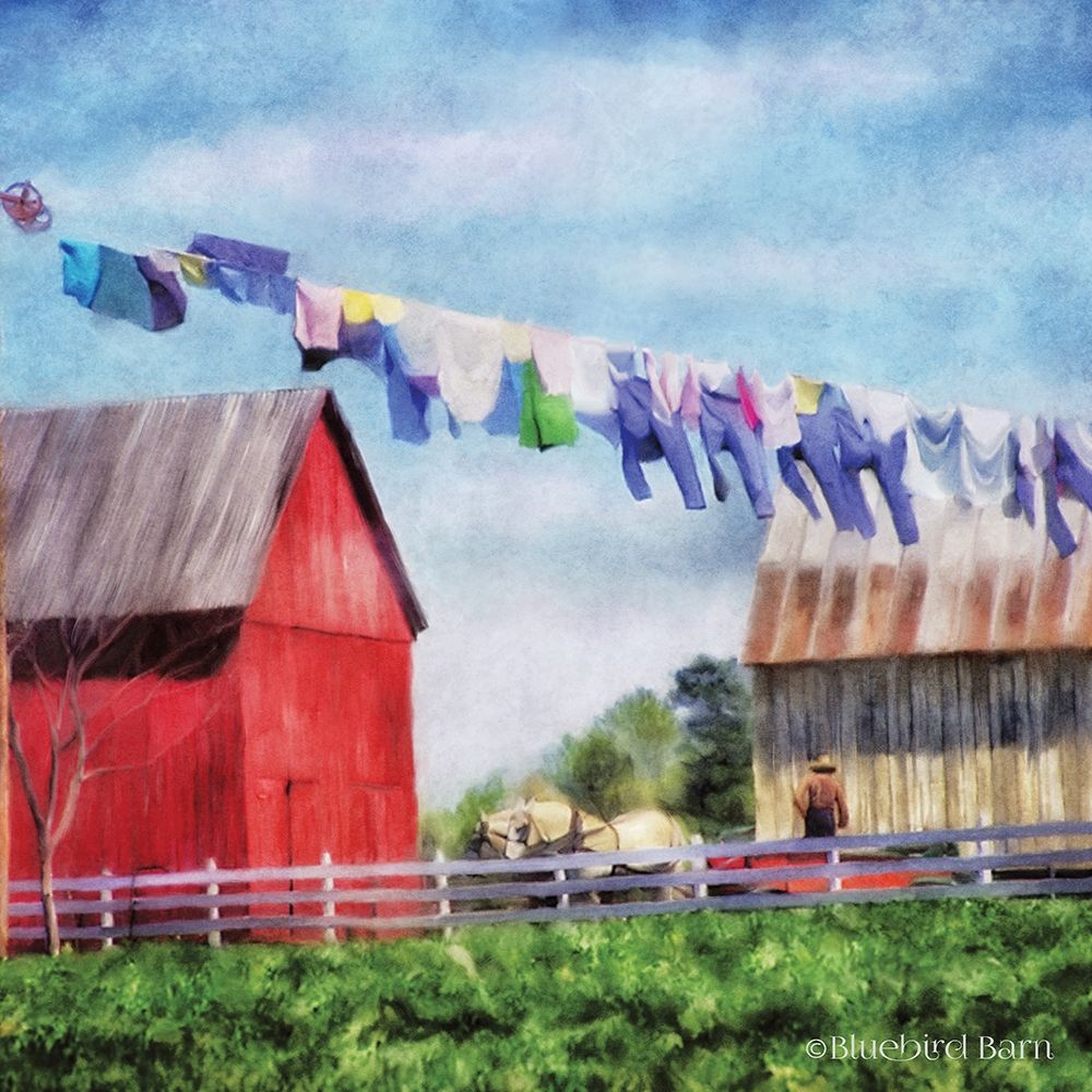 Wall Art Painting id:263418, Name: Clothesline Farm, Artist: Bluebird Barn