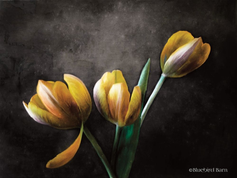 Wall Art Painting id:263419, Name: Contemporary Floral Tulips, Artist: Bluebird Barn