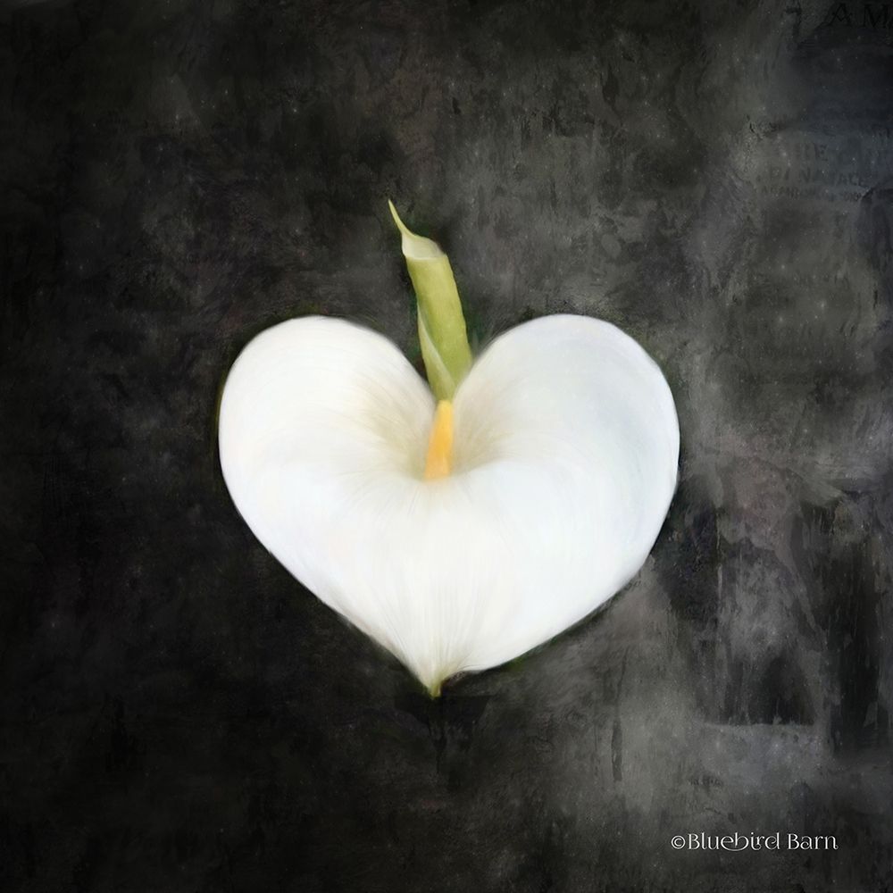 Wall Art Painting id:249171, Name: Contemporary Floral Cala Lily, Artist: Bluebird Barn