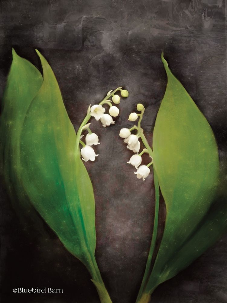 Wall Art Painting id:263420, Name: Contemporary Floral Lily of the Valley, Artist: Bluebird Barn