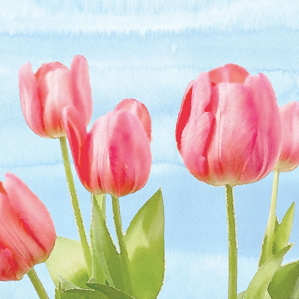 Wall Art Painting id:262477, Name: Fresh Spring Tulips I, Artist: Bluebird Barn
