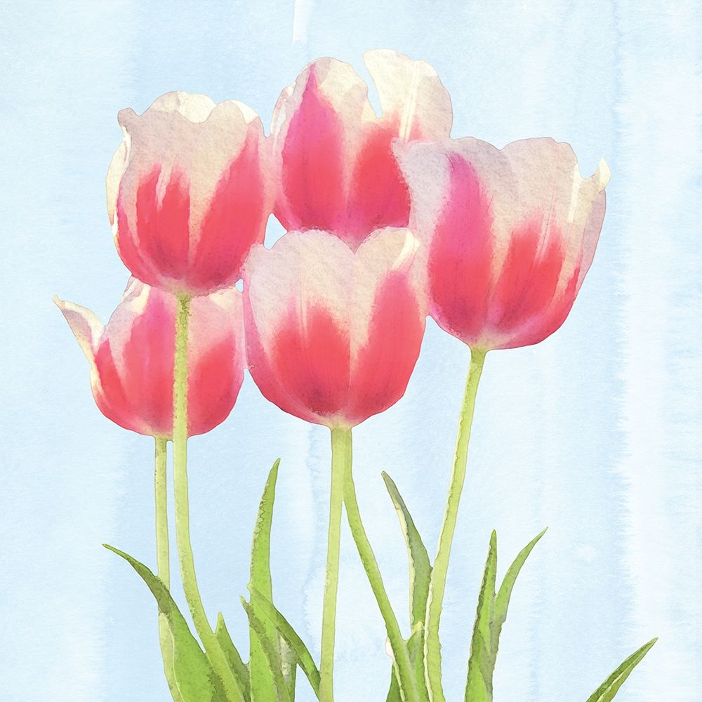 Wall Art Painting id:262478, Name: Fresh Spring Tulips III, Artist: Bluebird Barn