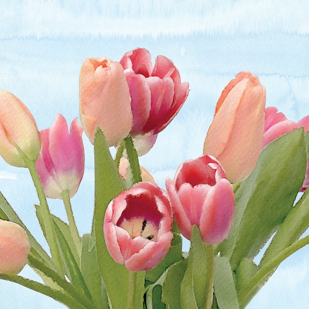 Wall Art Painting id:262479, Name: Fresh Spring Tulips IV, Artist: Bluebird Barn