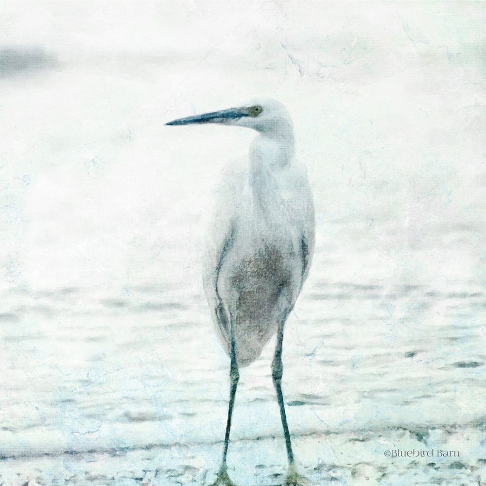 Wall Art Painting id:283150, Name: Beach Heron, Artist: Bluebird Barn