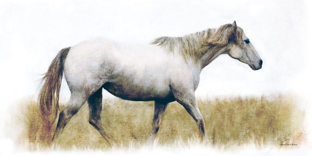 Wall Art Painting id:363646, Name: White Horse   , Artist: Bluebird Barn