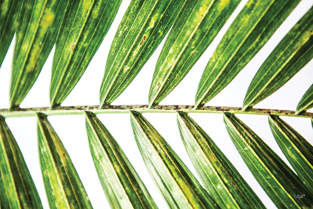 Similar wall art painting: 430510