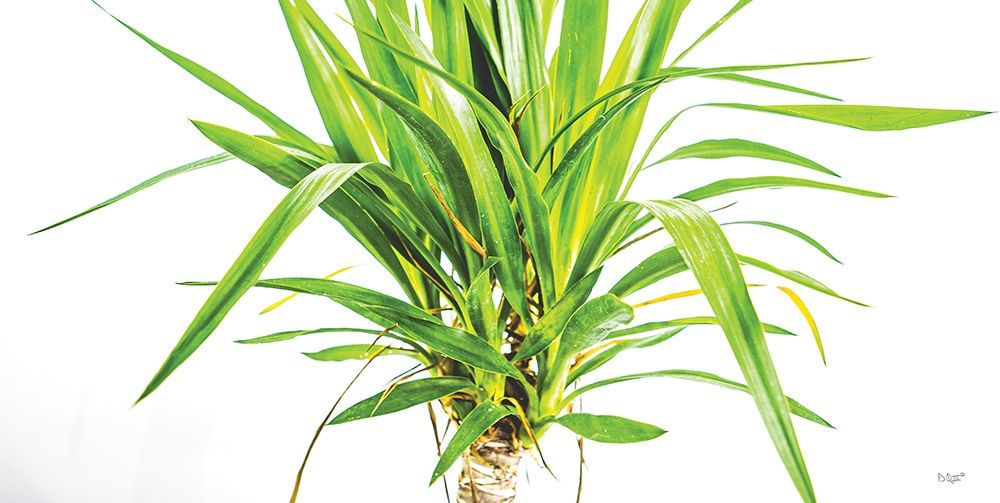 Similar wall art painting: 430516