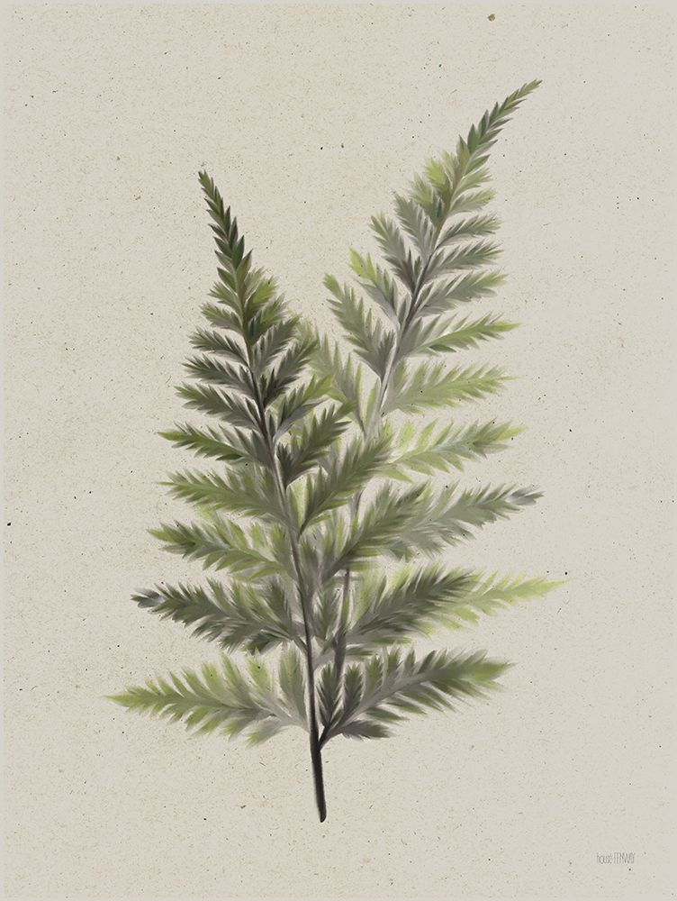 Wall Art Painting id:743328, Name: Soft Fern, Artist: House Fenway