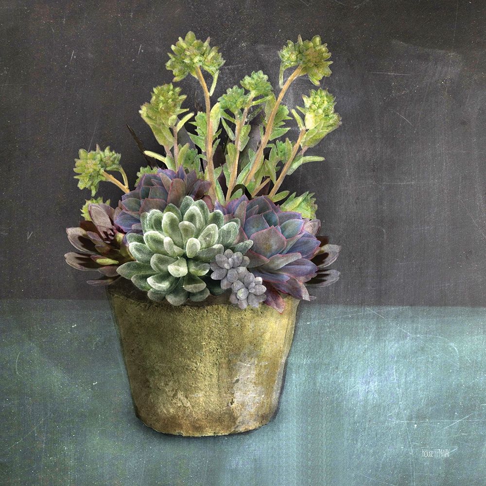 Wall Art Painting id:363734, Name: Succulents, Artist: House Fenway