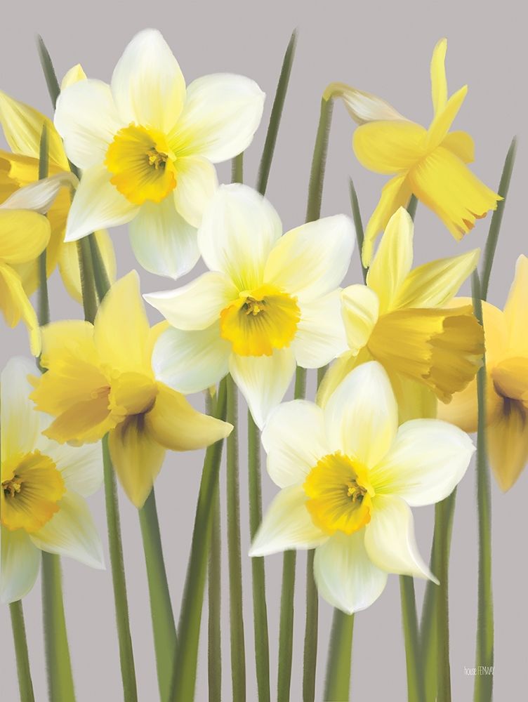 Wall Art Painting id:352921, Name: Spring Daffodils, Artist: House Fenway