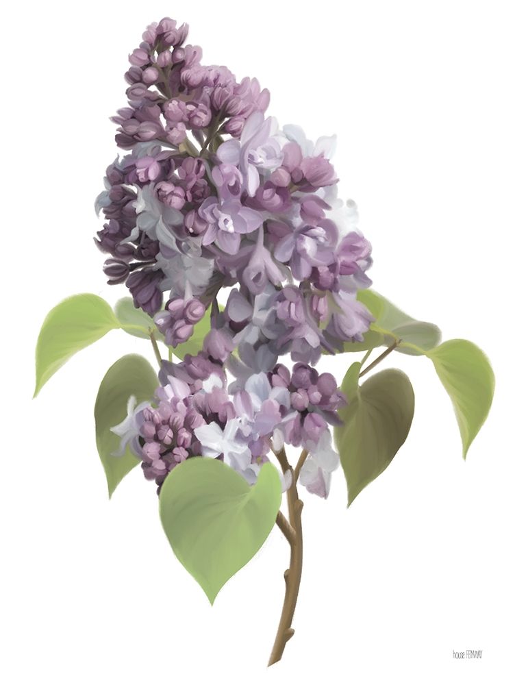 Wall Art Painting id:352922, Name: Lilac Stem, Artist: House Fenway