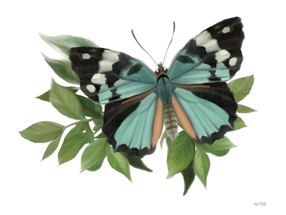 Wall Art Painting id:407493, Name: Botanical Butterfly Common Gem , Artist: House Fenway