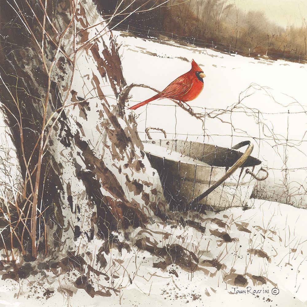 Wall Art Painting id:190526, Name: Country Cardinal, Artist: Rossini, John