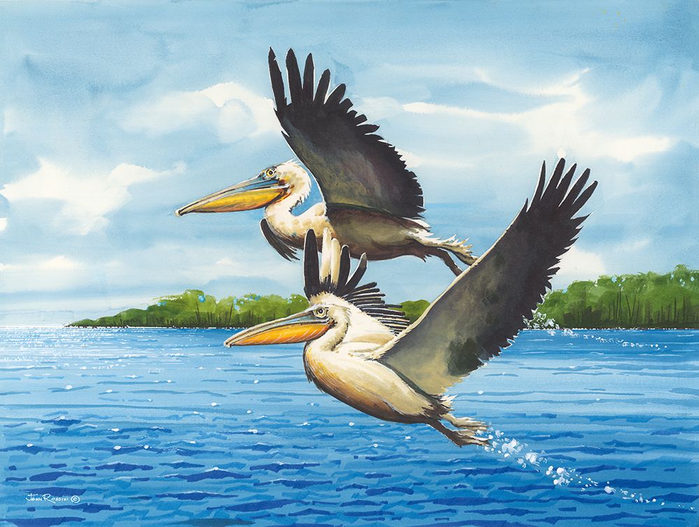 Art Print: Flight