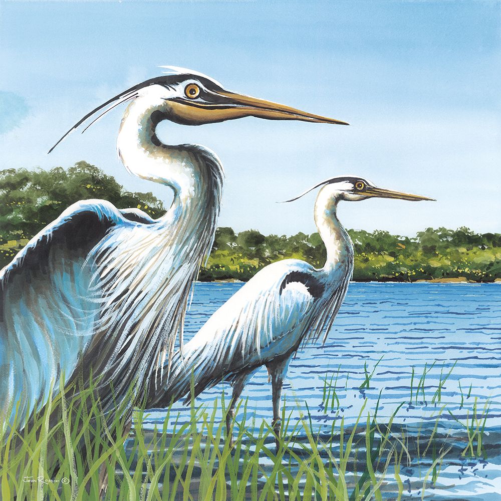 Art Print: Twins