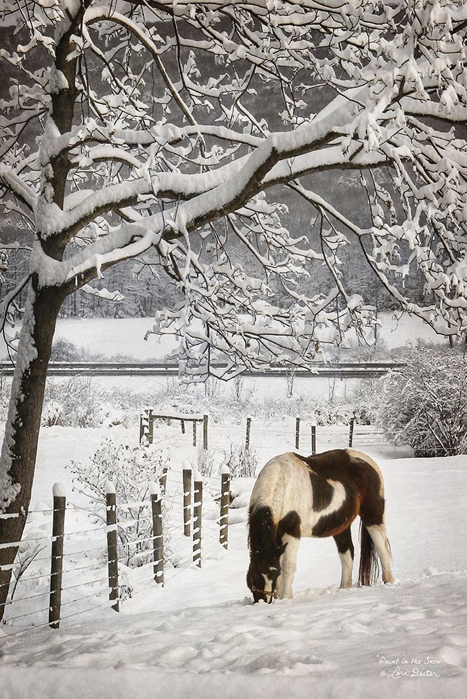 Wall Art Painting id:190621, Name: Paint in the Snow, Artist: Deiter, Lori