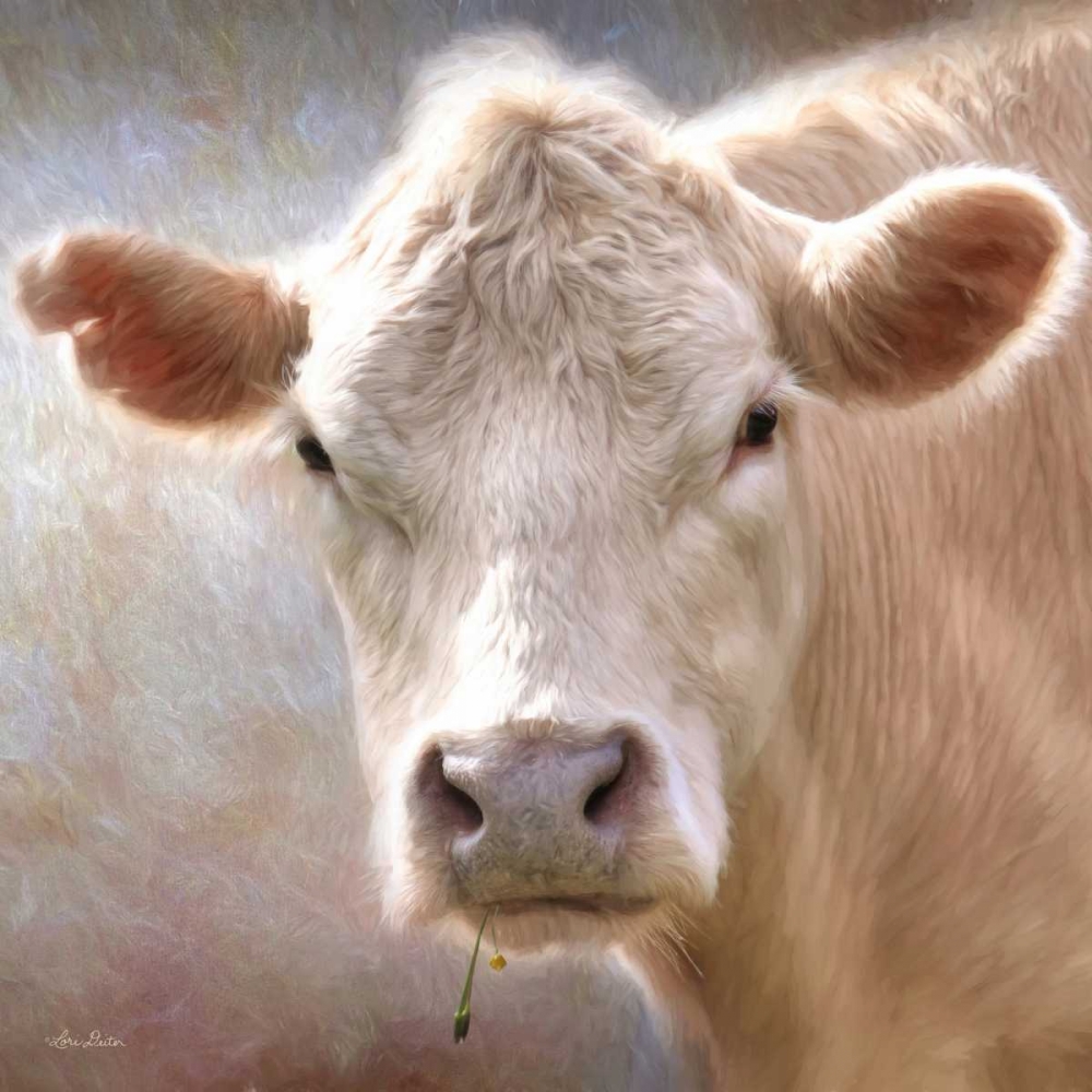 Wall Art Painting id:169780, Name: Up Close Cow, Artist: Deiter, Lori
