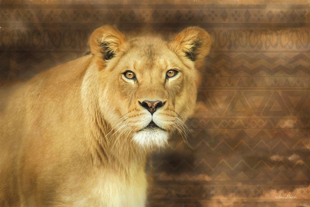 Wall Art Painting id:201317, Name: Tribal Lioness, Artist: Deiter, Lori