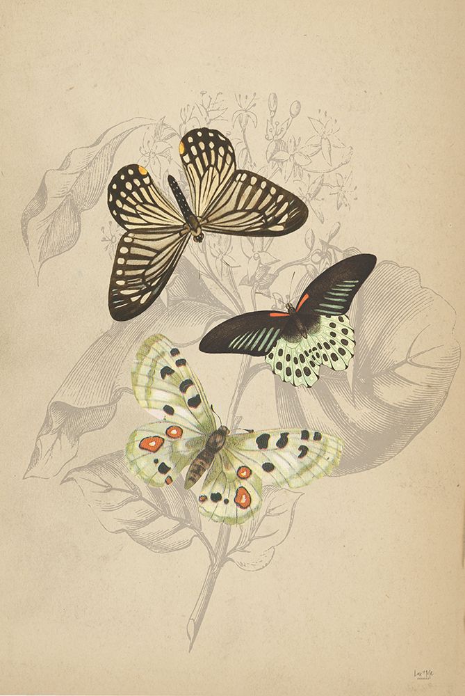 Wall Art Painting id:546400, Name: Butterfly Trio, Artist: Lux + Me Designs