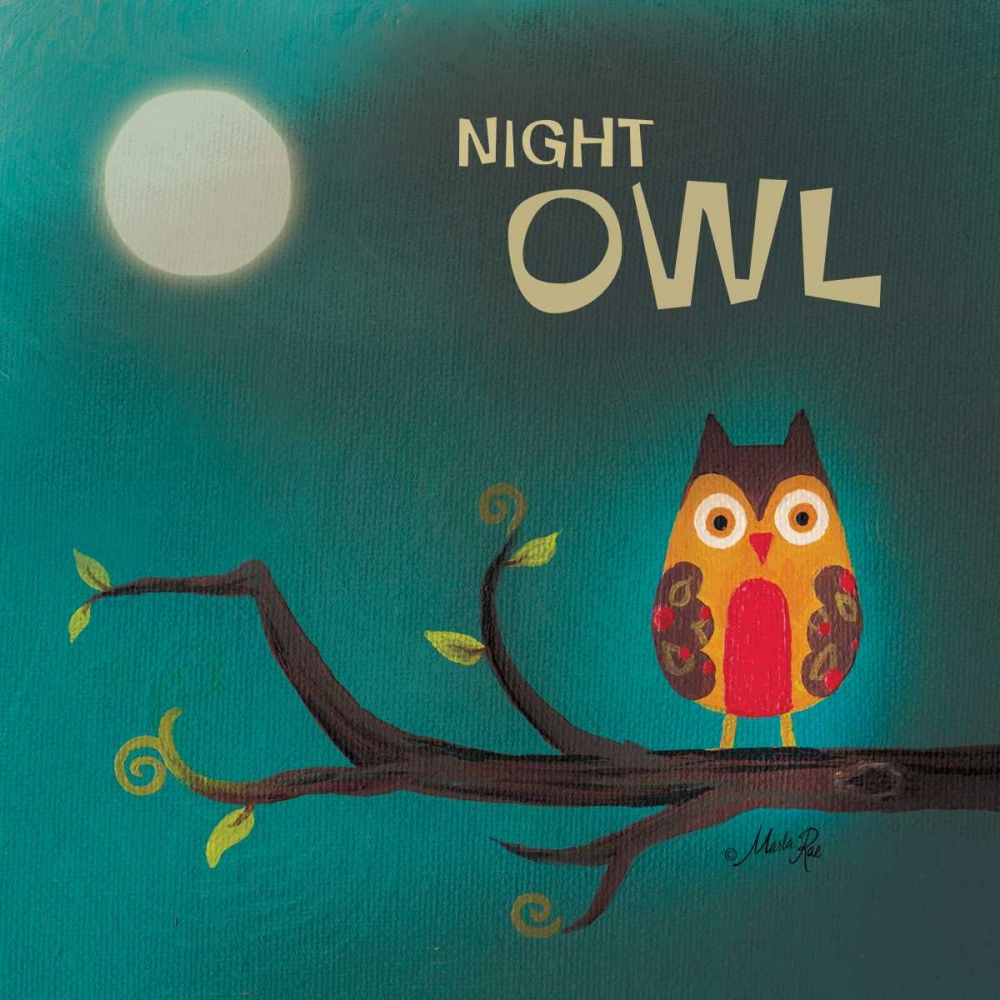 Wall Art Painting id:170583, Name: Night Owl I, Artist: Rae, Marla