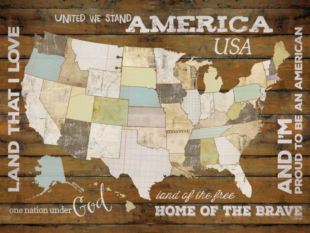 Wall Art Painting id:97284, Name: Land That I Love USA Map, Artist: Rae, Marla