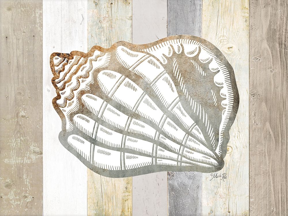 Wall Art Painting id:427319, Name: Coastal Shell I, Artist: Rae, Marla