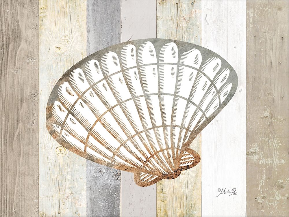 Wall Art Painting id:427320, Name: Coastal Shell II, Artist: Rae, Marla