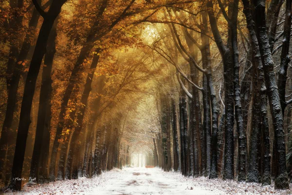 Wall Art Painting id:124686, Name: Autumn to Winter, Artist: Podt, Martin