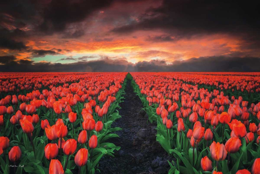 Similar wall art painting: 142917