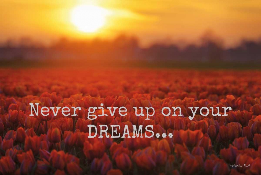 Wall Art Painting id:142919, Name: Never Give Up on Your Dreams, Artist: Podt, Martin