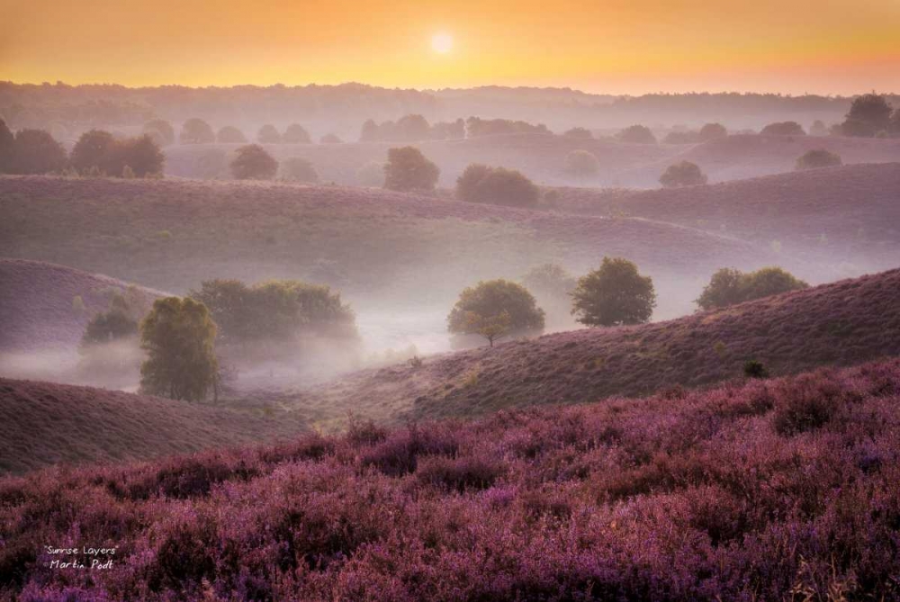 Similar wall art painting: 169844