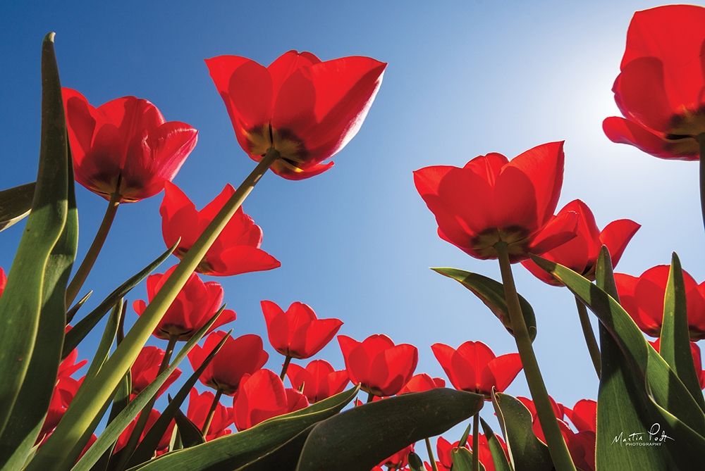 Similar wall art painting: 305148