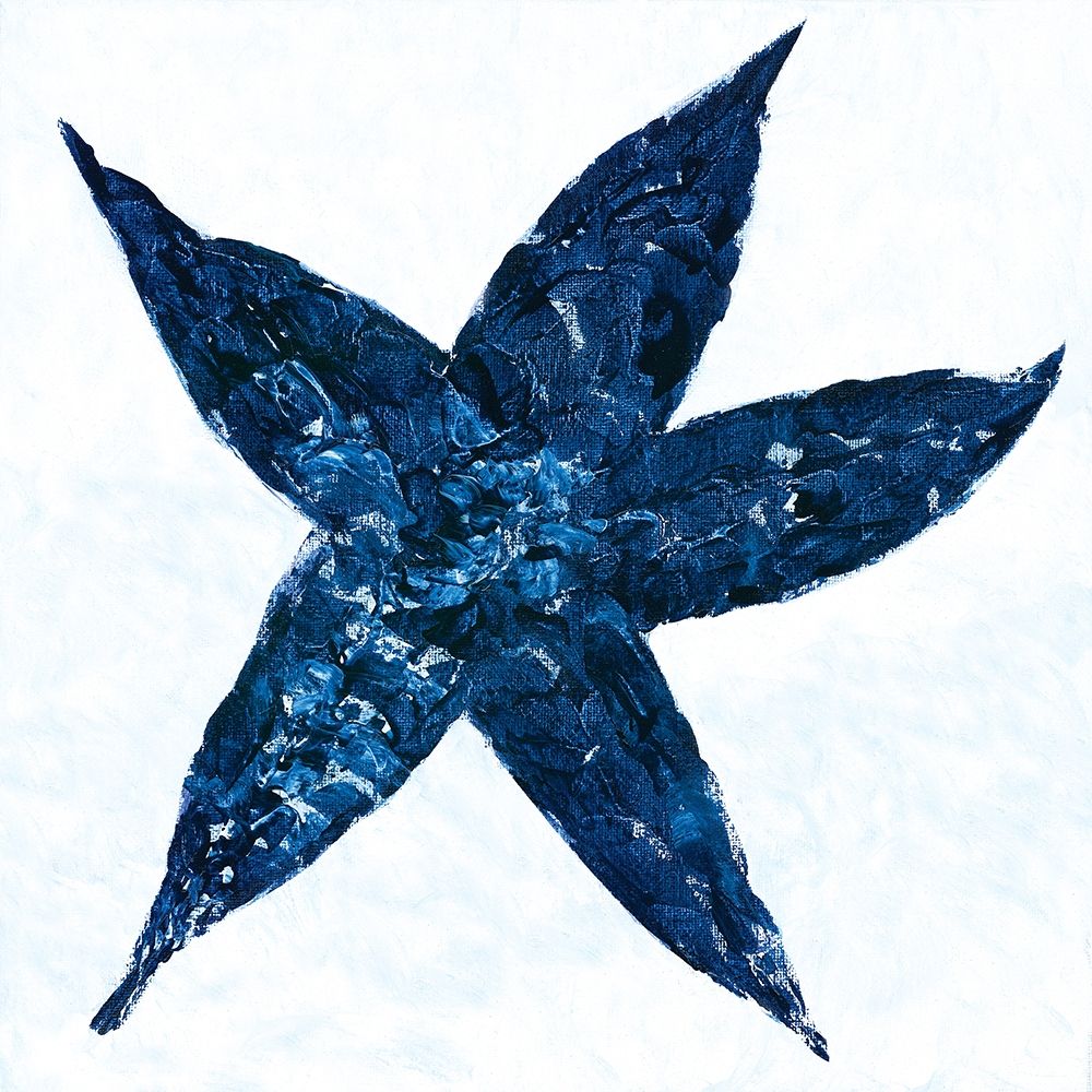 Wall Art Painting id:263550, Name: Midnight Starfish, Artist: Ebert, Roey